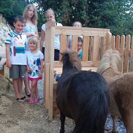 호텔 Superior Sport Und Familienresort Alpenblick 젤암제